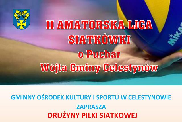 II Amatorska Liga Siatkówki o Puchar Wójta Gminy Celestynów