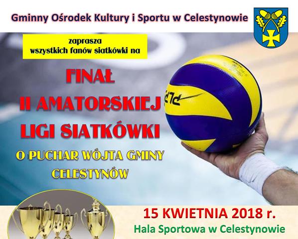 Finał II Amatorskiej Ligi Siatkówki o Puchar Wójta Gminy Celestynów