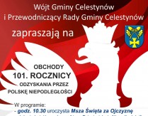 Obchody 101. Rocznicy Odzyskania przez Polskę Niepodległości