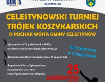 Celestynowski Turniej Trójek Koszykarskich o Puchar Wójta Gminy Celestynów