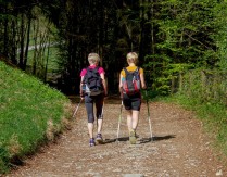 Marsz po zdrowie – bezpłatne zajęcia Nordic Walking z instruktorem GOKiS