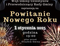 Powitanie Nowego Roku – 1 stycznia 2025 r.